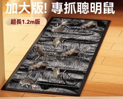 強力粘鼠魔毯